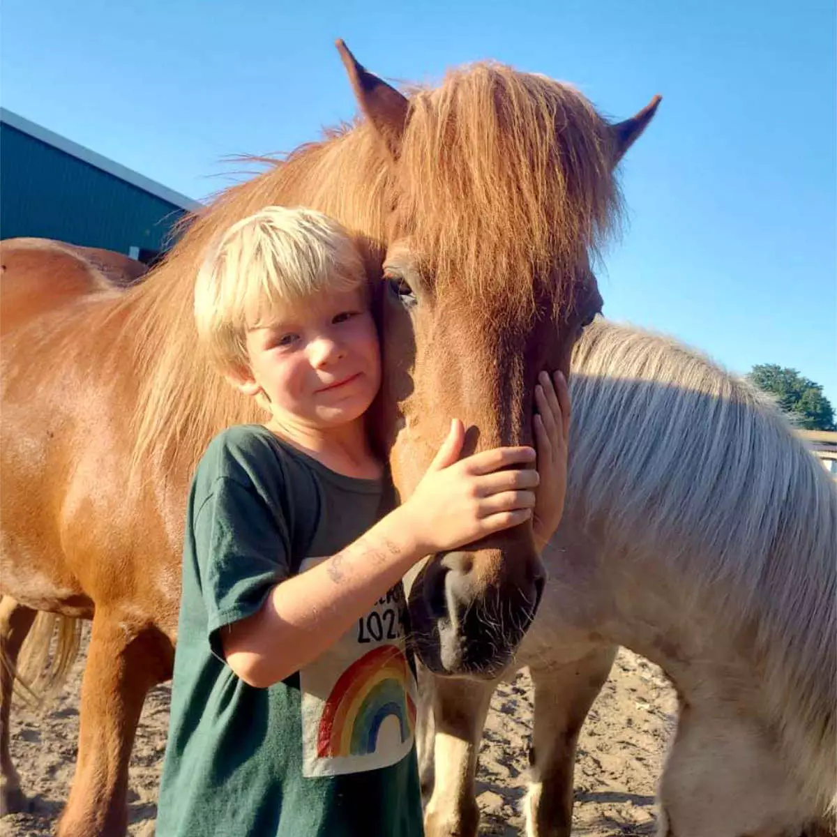 reitpaedagogik-gallerie-1