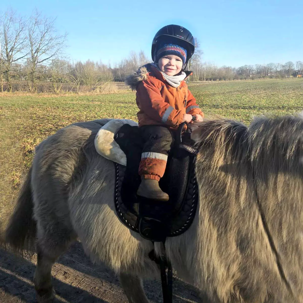 reitpaedagogik-gallerie-3