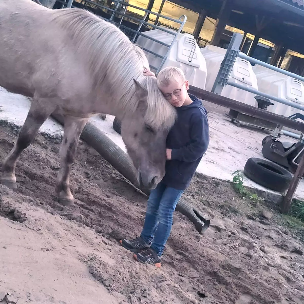 reitpaedagogik-gallerie-5