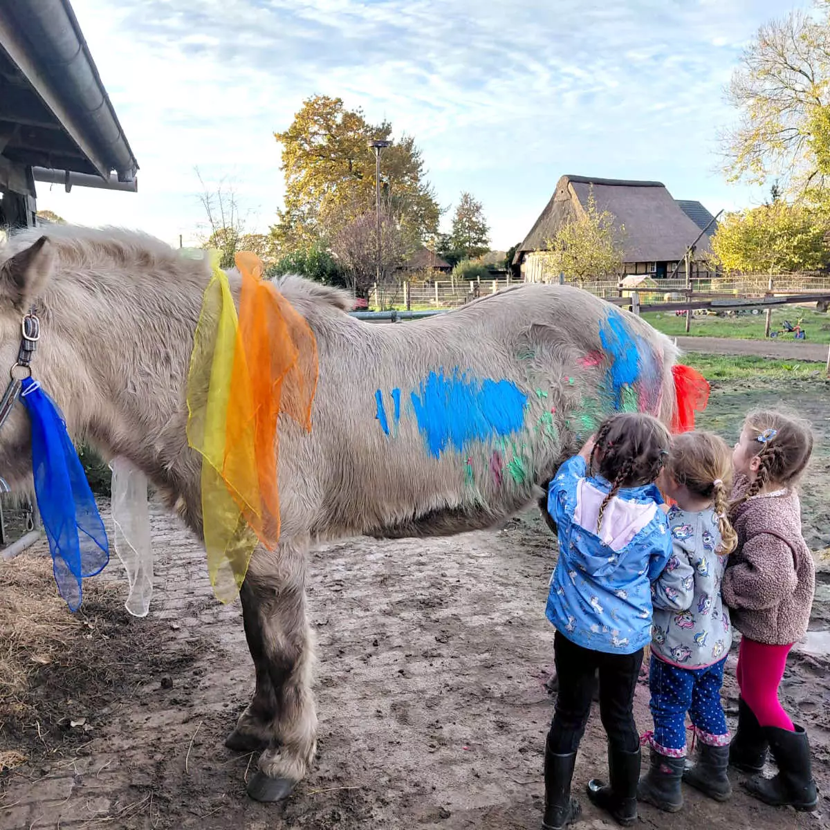 reitpaedagogik-gallerie-6